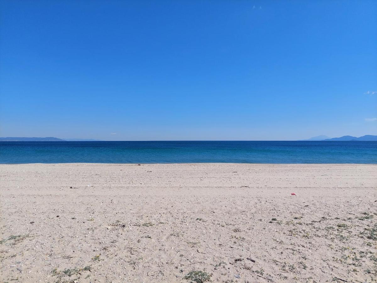 Orange Tree Apartment Ασπροβάλτα Εξωτερικό φωτογραφία