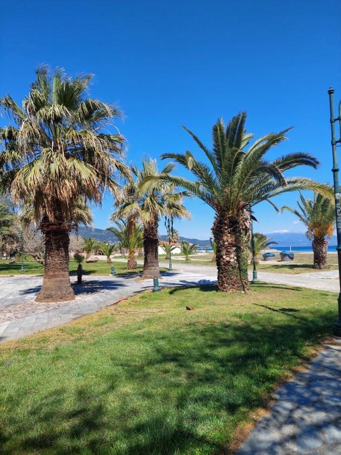 Orange Tree Apartment Ασπροβάλτα Εξωτερικό φωτογραφία