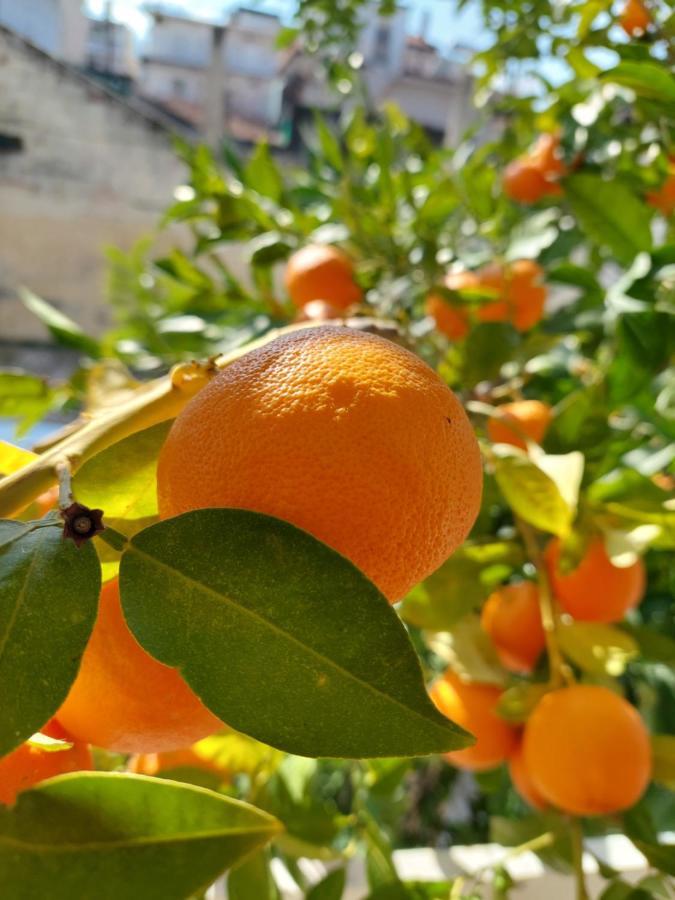 Orange Tree Apartment Ασπροβάλτα Εξωτερικό φωτογραφία